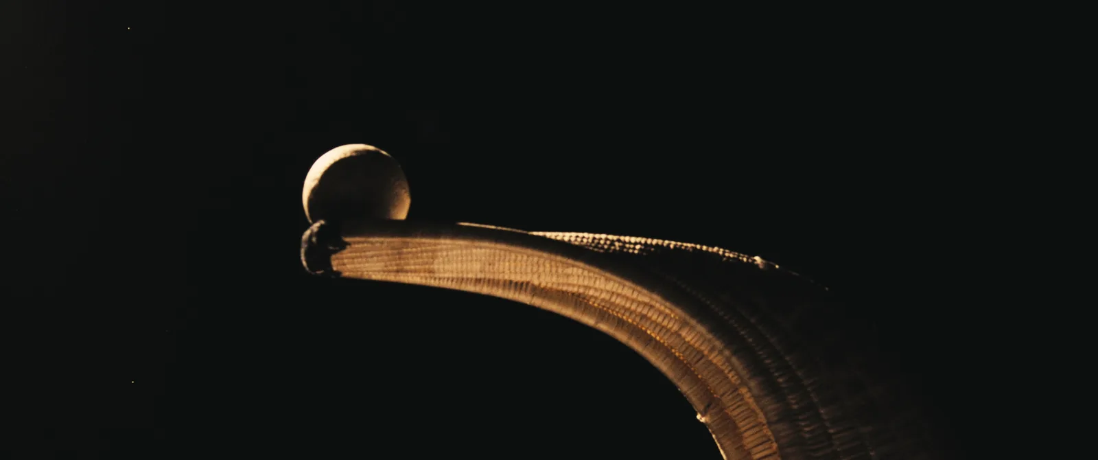 Jai alai cesta and ball in low-key light